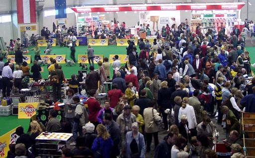 Vorschau Bild von ZU OTS 042 - Rund 10.000 Besucher kamen am heutigen Samstag (15.5.)
auf die "Euro Dog 99" nach Tulln. Die Ausstellung wird morgen (16.5.)
 fortgesetzt und findet um 16:45 mit der Wahl des "Schönsten Hundes
Europas" seinen Höhepunkt.  APA-Photo: OTS/Euro Dog