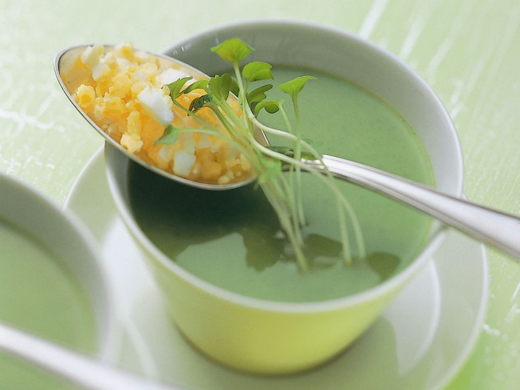 Es grünt so grün - Spinat hat nicht nur am Gründonnerstag Hochsaison - BILD Es grünt so grün - Spinat hat nicht nur am Gründonnerstag Hochsaison - BILD