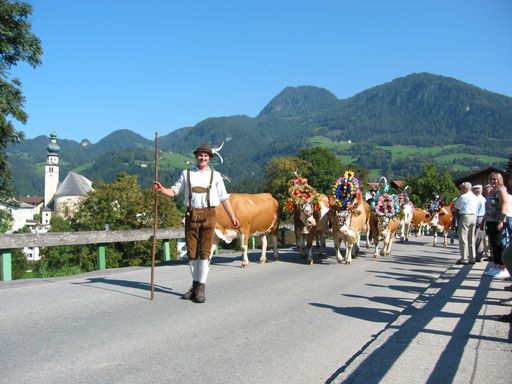 Seit 22 Jahren gibt es das Almabtriebsfest
"Bauernmarkt mit Kirchtagsfest und Handwerksmarkt" in Reith im
Alpbachtal - dieses Jahr am 25. September und 2. Oktober 2004. Im
Bild: Heimfahrt 2003 vom "Neubauer" in Reith im Alpbachtal