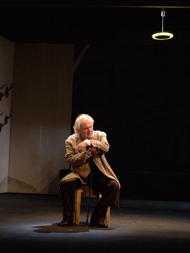 Der österreichische Schauspieler und Regisseur
Wolfgang Hübsch feiert am 12. November 2004 seinen 65. Geburtstag. 
Im Bild: Volkstheater Wien 2004/05, DER THEATERMACHER von Thomas
Bernhard