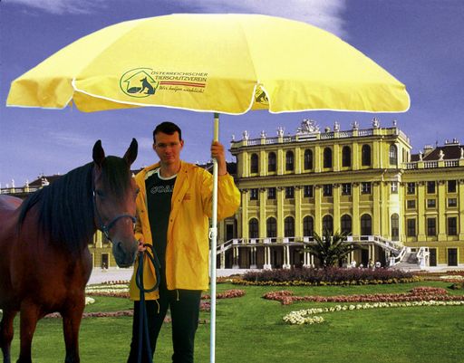 Österreichischer Tierschutzverein bietet
Sonnenschrime für Fiakerpferde an!