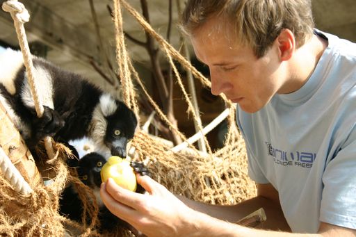  Herbersteins Tiere sind nur noch wenige Tage zu
sehen. So verabschieden sich unter anderem auch die Varis für die
heurige Saison. Das Maskottchen des Tierparks im Bild gemeinsam mit
Maximilian Herberstein.