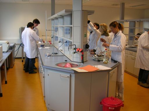 Die FH Technikum Wien stellte als erste
Fachhochschule Österreichs im Jahr 2004 auf das international
anerkannte Bachelor-Master-Studiensystem um.