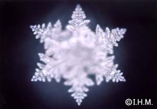 Vorschau Bild von Wasser ist eines der vier Elemente und damit
grundlegend für unsere Existenz. Zu sieben Zehntel bedeckt es die
Erdoberfläche, ebenso besteht der menschliche Körper zu 70 % aus
Wasser. Das Element, das so reichlich vorhanden und doch so kostbar
ist, gilt uns als Selbstverständlichkeit. Wer tiefer eintaucht in
die Wunderwelt des Wassers, kann Geheimnisse entdecken, die staunen
machen.