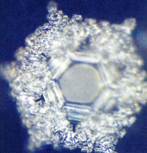 Wasser ist eines der vier Elemente und damit
grundlegend für unsere Existenz. Zu sieben Zehntel bedeckt es die
Erdoberfläche, ebenso besteht der menschliche Körper zu 70 % aus
Wasser. Das Element, das so reichlich vorhanden und doch so kostbar
ist, gilt uns als Selbstverständlichkeit. Wer tiefer eintaucht in
die Wunderwelt des Wassers, kann Geheimnisse entdecken, die staunen
machen.