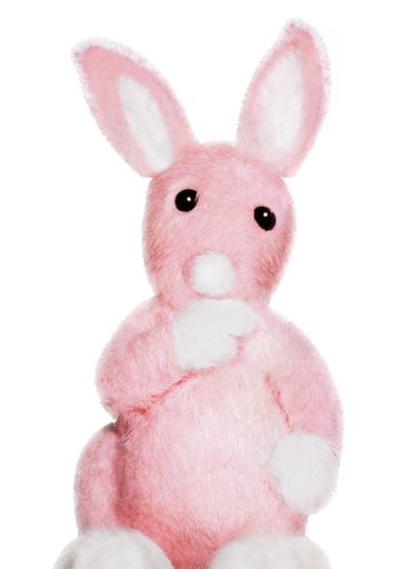  Während der letzten Wochen fielen die 1m 80cm grossen und 1m breiten Lovebunnies in den Schaufenstern des international agierenden Modekonzerns Tally Weijl auf. Wie schon vor einem Jahr unterstützt Tally Weijl mit einer Aktion die Aidshilfen Österreich.
