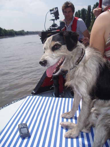 Vorschau Bild von Hauptdartsteller, Hund Ben, macht eine Schiffsreise.