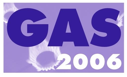 Rechtliche, regulatorische und versorgungstechnische Rahmenbedingungen beeinflussen den Gasmarkt Österreich. Die aktuellen Entwicklungen in der Gasbranche werden zu Themen der GAS06.