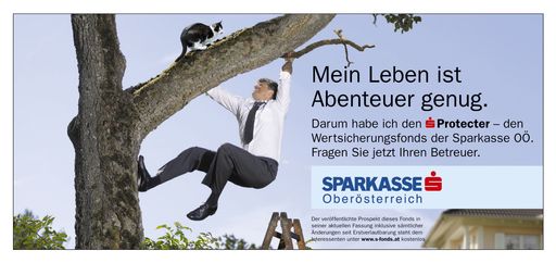 Vorschau Bild von Kampagne "s Protecter"