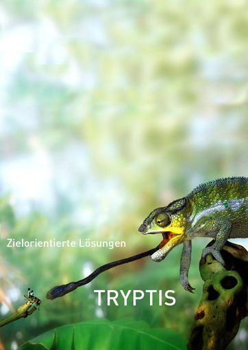  Tryptis Chamäleon