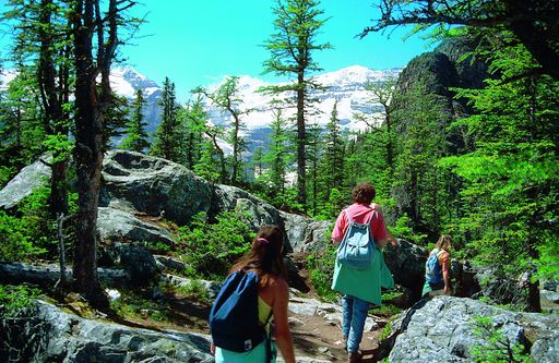  Natur pur, soweit das Auge reicht. Die kleinen Wikinger-Gruppen, nur acht bis zwölf Teilnehmer pro Tour, reisen von Calgary aus durch die legendären Rockies bis in die Metropole Vancouver