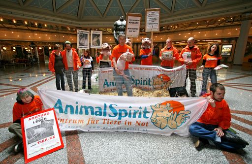 Vorschau Bild von Animal Spirit demonstriert mit zwei Bio-Ferkeln im Tierschutzministerium