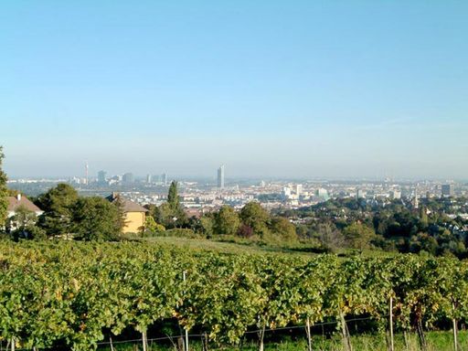 Vorschau Bild von Die Fahrt geht hinauf auf den Kahlenberg und retour durch den Wienerwald und Grinzing zum Ausgangspunkt nach Nussdorf. Der Vienna Heurigenexpress fährt täglich, ab der Endstation Straßenbahn Linie D-Nussdorf, zu jeder vollen Stunde, zwischen 
12h bis 19h von 1. April bis Ende Oktober.