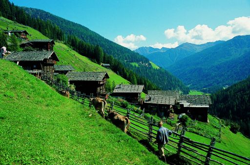  Urlaub vom Alltag, spannende Vorträge, anregende Fachgespräche und unvergessliche Erlebnisse in einem der schönsten Wandergebiete südlich der Alpen - das alles erwartet Sie Sie auf dem ersten "Wanderforum Südtirol", das vom 27.-30. Juni 2007 in St. Walburg/Ulten  bei Meran stattfindet.
