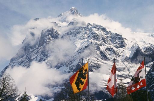 Wetterhorn in den Berner Alpen