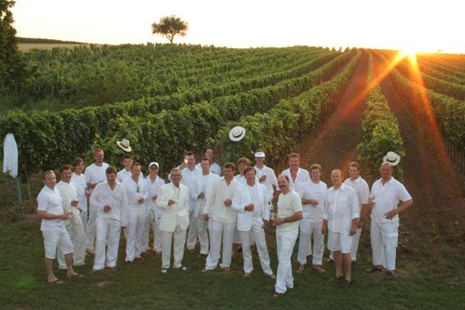 Vorschau Bild von Die Rubin Carnuntum Winzer, ganz in Weiß für die White Wine Fashion Party. Dieses Jahr im außerordentlichen Ambiente des Steinbruches am Pfaffenberg in Bad Deutsch-Altenburg.