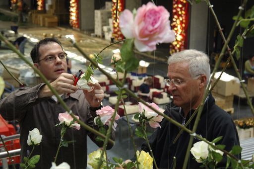 Vorschau Bild von Tomas de Bruyne und Gerhard Swarovski (von links) beim Dekorieren mit den Rosen