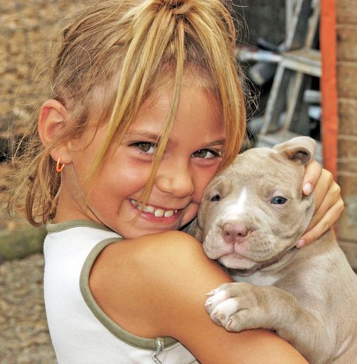  Was Hundebesitzer immer schon wussten, ist nun auch wissenschaftlich bewiesen: Hunde sind klüger als wir denken. Sie unterscheiden zwischen dem Ziel einer Handlung und der Handlung an sich. Fotoverwendung honorarfrei im Zusammenhang einer Berichterstattung mit dieser Meldung.