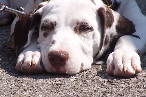 Aktionstag am 6.Oktober 2007