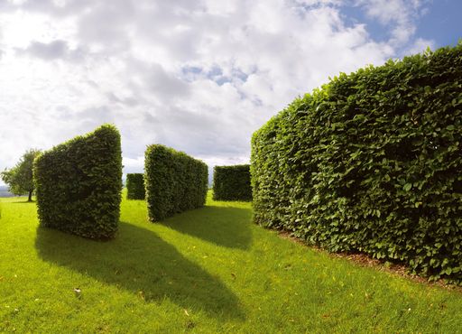  1. Preis - Jane Sarah Bihr-de Salis: Garten Lukoschus-Dinter