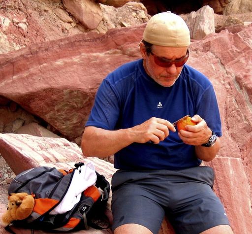 Vorschau Bild von Dr. Werner Antal bei einem Seminar in der Wüste Sinai.