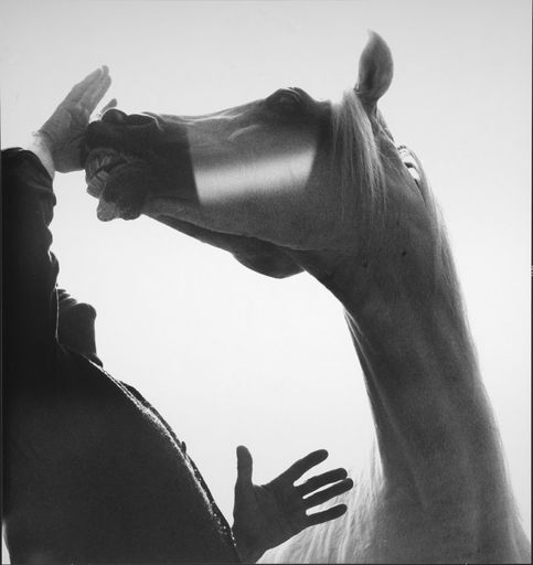  Fritz Koenig und Nuri Schalan, Ganslberg 1989