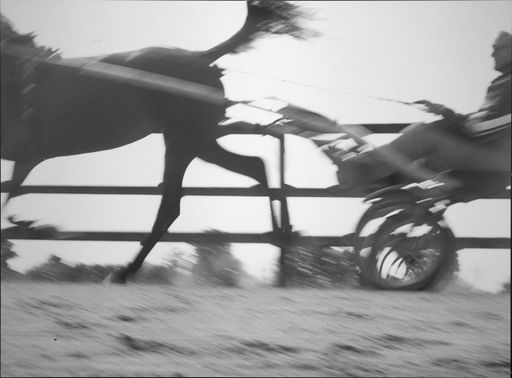 Vorschau Bild von Trabergestüt Lasbek, 1999