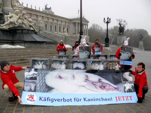 VIER PFOTEN-Aktion mit einer original Käfigbatterie vor dem Parlament.