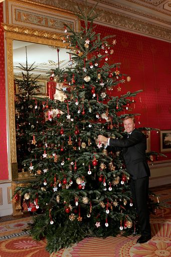 Albertina - Dr. Schroeder mit Weihnachtsbaum