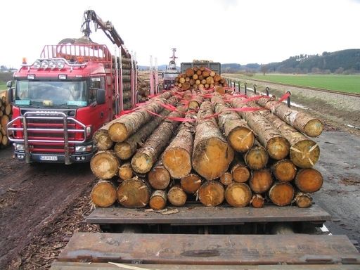 Vorschau Bild von Die erste und letzte Meile ist der LKW aufgrund seiner Flexibilität im Vorteil - die lange Hauptstrecke erfolgt schnell, sicher und umweltfreundlich auf der Schiene.