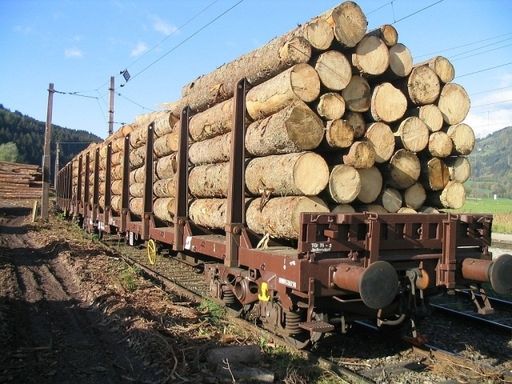 Rund 60 Tonnen sind auf einem Eisenbahnwaggon zu transportieren - ein weiterer Vorteil gegenüber der Straße.