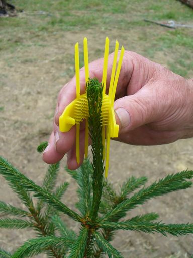 Vorschau Bild von TS-Schutzmanschetten gegen Wildverbiss