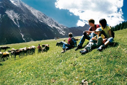 Die Family Tirol Hotels bieten Leistung und Ausstattung, die einen stressfreien und hochwertigen Urlaub für Familien mit Kindern und Säuglingen in den Tiroler Bergen ermöglichen.
