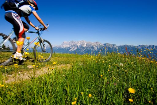 Vorschau Bild von Region Schladming-Dachstein