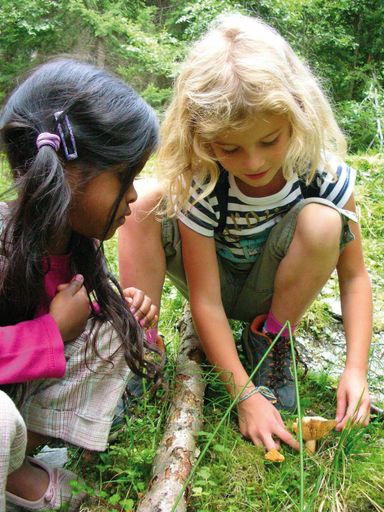 Kostenloses Ferienprogramm in der Silberregion Karwendel