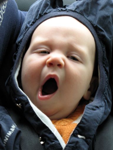 Nur noch ein paar Mal schlafen - BabyExpo ab Freitag in der Wiener Stadthalle