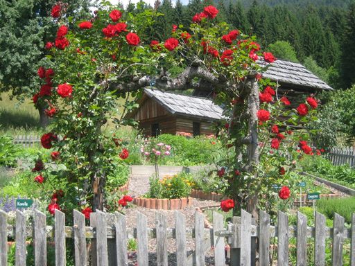 Vorschau Bild von Wild- und Gartenkräuter, Blumen und Blüten sind die Stars im touristischen Angebot. Das Kräuterdorf Irschen wurde dafür auch mit dem Tourismus-Staatspreis 2007 ausgezeichnet.