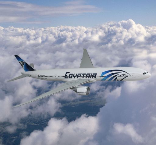  EgyptAir Markenrelaunch: Horus in neuem Federkleid. EgyptAir mit neuem Corporate Design und optisch neu gestalteter Flotte ? das erste Flugzeug mit neuem Logo wird bereits am 11. Juli 2008 anlässlich der offiziellen Aufnahme von EgyptAir in die Star Alliance präsentiert werden.