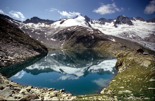  Auch das Umfeld der Zittauerhütte war Untersuchungsgebiet im Rahmen des Tags der Artenvielfalt.