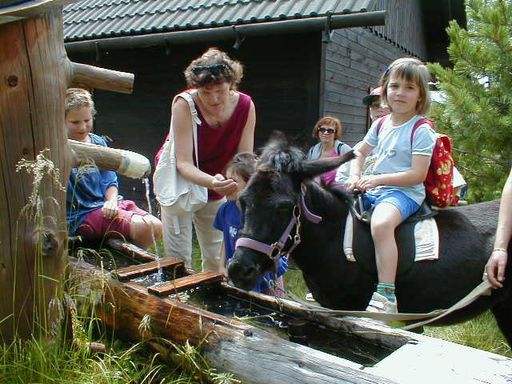 QUAX Familien-Freizeit-Tipp: Familien Eselwanderung im Naturpark Zirbitzkogel-Grebenzen