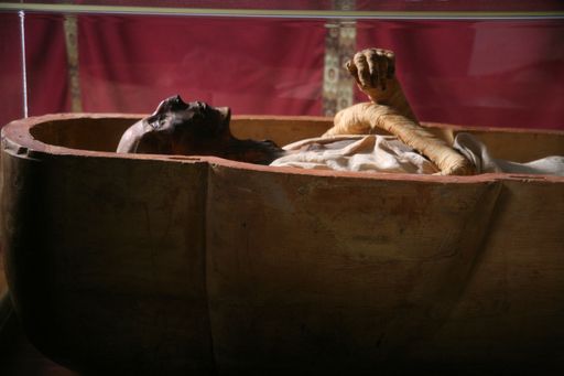 "Mumien 3D - Geheimnisse der Pharaonen" nimmt die Zuschauer mit auf eine Zeitreise in die Epoche der großen Pharaonen im Alten Ägypten. Die spannende Umsetzung der Geschichte der Mumien in 3D wurde mit dem Prädikat Sehenswert ausgezeichnet.
