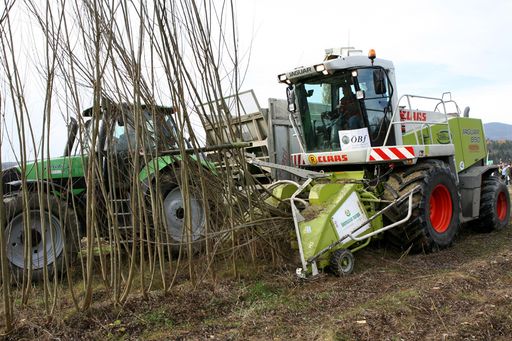 Energieholz - Ernte