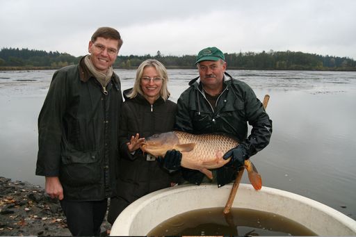  Im Bild v.l.n.r.:  Mag. Werner Wutscher (Vorstand REWE Group Austria), Mag. Martina Hörmer (Geschäftsführerin Ja! Natürlich Naturprodukte GmbH) und Gerhard Bauer (Fischmeister) beim Abfischen im Waldviertel.