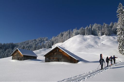 Skitour am Hochälple,Schwarzenberg