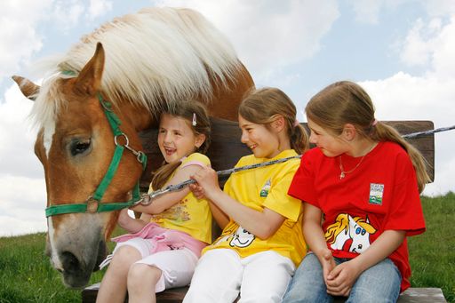  Zahlreiche Reiturlaubsangebote, Ausflugsziele und Reitregionen verlocken dazu, die Vielfalt der österreichischen Landschaften zu Pferde zu genießen, wie etwa den wildromantischen Nationalpark Kalkalpen, mit "Galopp im Burgenland" die pannonische Steppe, das bewaldete Hausruckviertel rund ums "Reiterdorf Ampflwang" bis zu den südlichen Seenlandschaften des "Reiteldorado Kärnten". Trotz der Vielfalt  haben jedoch alle eines gemeinsam: Sie bieten ein unvergessliches Urlaubserlebnis.