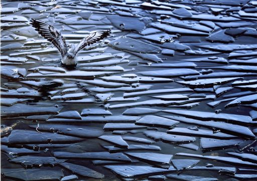 Vorschau Bild von Berlakovich: Beeindruckende Siegerprojekte bei der Neptun Wasserpreis 2009 - Gala ausgezeichnet