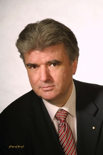  Hr. Ing. Stefan Mandahus