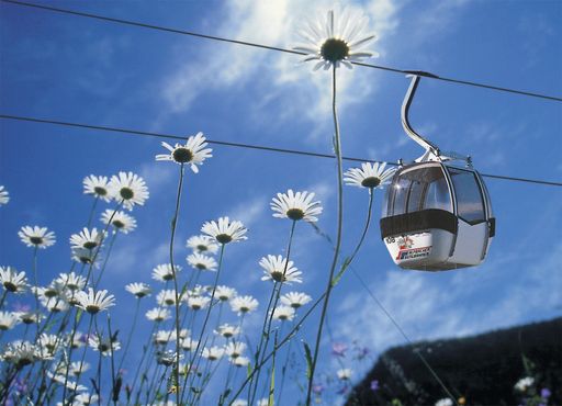 Ab 1.Juli 2009 bekommt man mit der neuen "Alpbachtal Seenland Card" mehr für seinen Urlaub.
