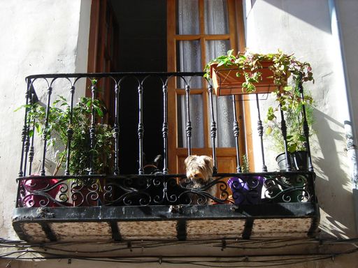 Vorschau Bild von Neben dem Adressen-Pool bietet hunde-urlaub.net einen umfassenden Rundum-Service. Der Hundehalter findet alle Infos, die er für den gelungenen Hundeurlaub - besonders im Ausland - braucht.