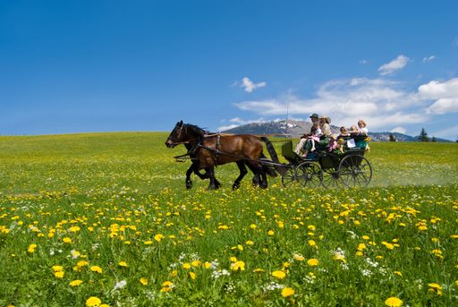  Am 31. Mai 2009 - dem Pfingstsonntag - geht in Abtenau die 2. Abtenauer Pferdekutschengala über die Bühne.